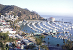 Avalon Bay Viewed From Above