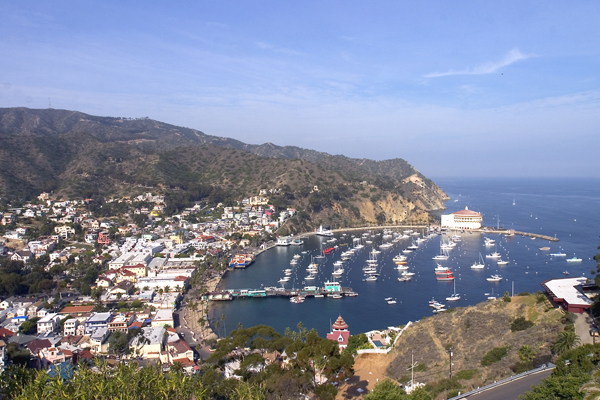 Horizontal Photo of Avalon Bay on Catalina Island