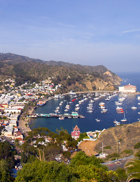 Vertical Photo of Avalon Bay on Catalina Island