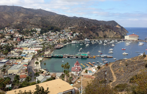 Avalon Town and Harbor in 2014