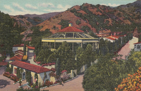 Avalon Bird Park Historic Postcard