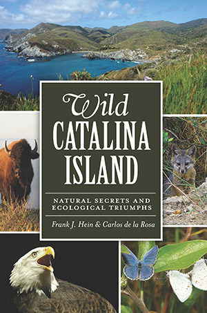 Wild Catalina Island: Natural Secrets and Ecological Triumphs