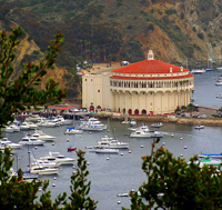 Casino on Avalon Bay