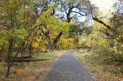 Bidwell Park Paved Trail