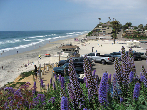 Moonlight State Beach