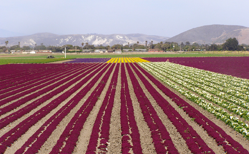 Lompoc, Santa Barbara County, California