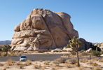 Joshua Tree National Park