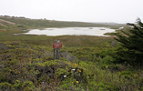 Pescadero Marsh