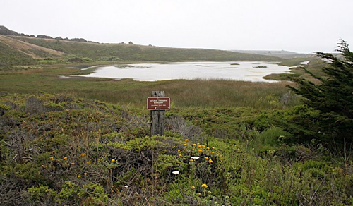 Pescadero Marsh