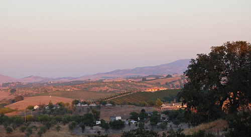 Templeton Wine Country in Central California