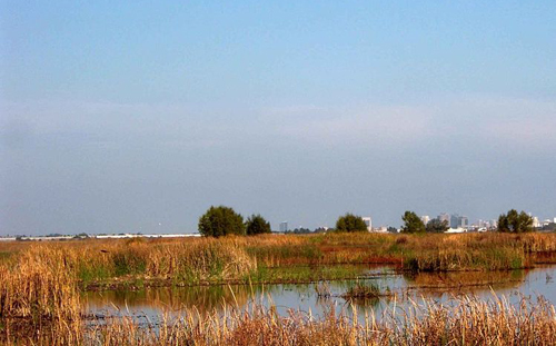 WYolo Bypass Wildlife Area