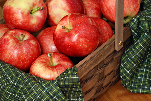 California Apples: Gala Apples Grown in California